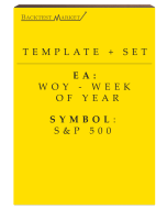 Template - WOY S&P 500